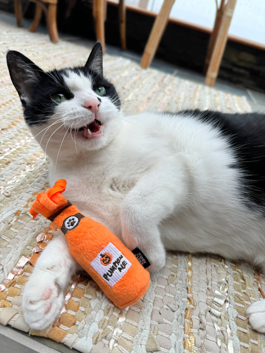 ZippyClaws Halloween Catnip Crusherz Hard Cider & Pumpkin Ale Cat Toy 2pk