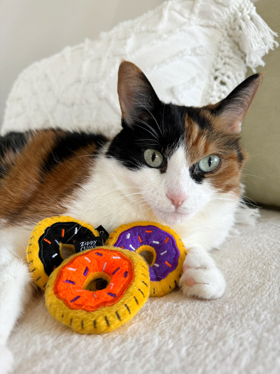 ZippyClaws Halloween Mini Donutz Cat Toy 3pk