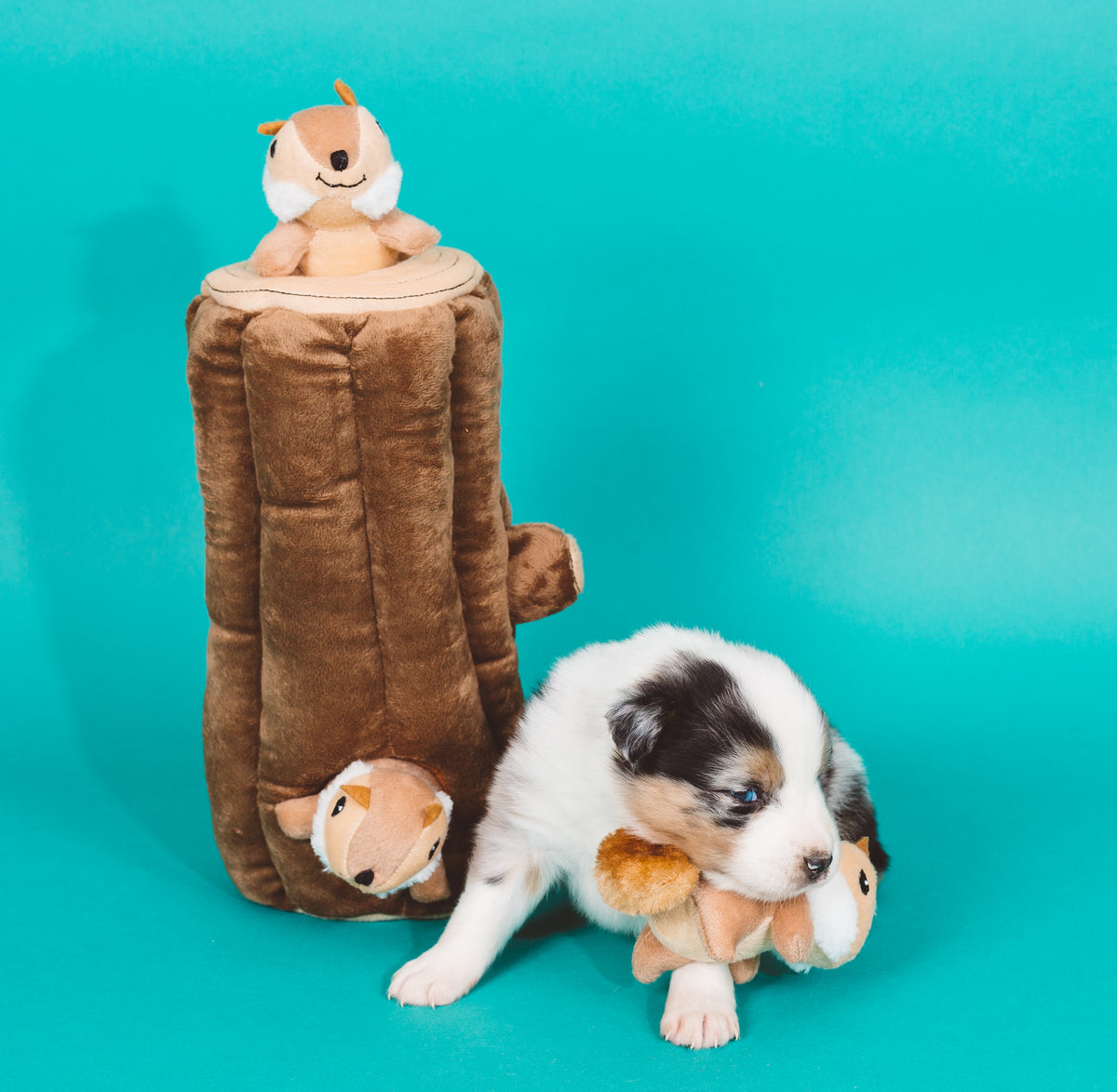 ZippyPaws Burrow Log