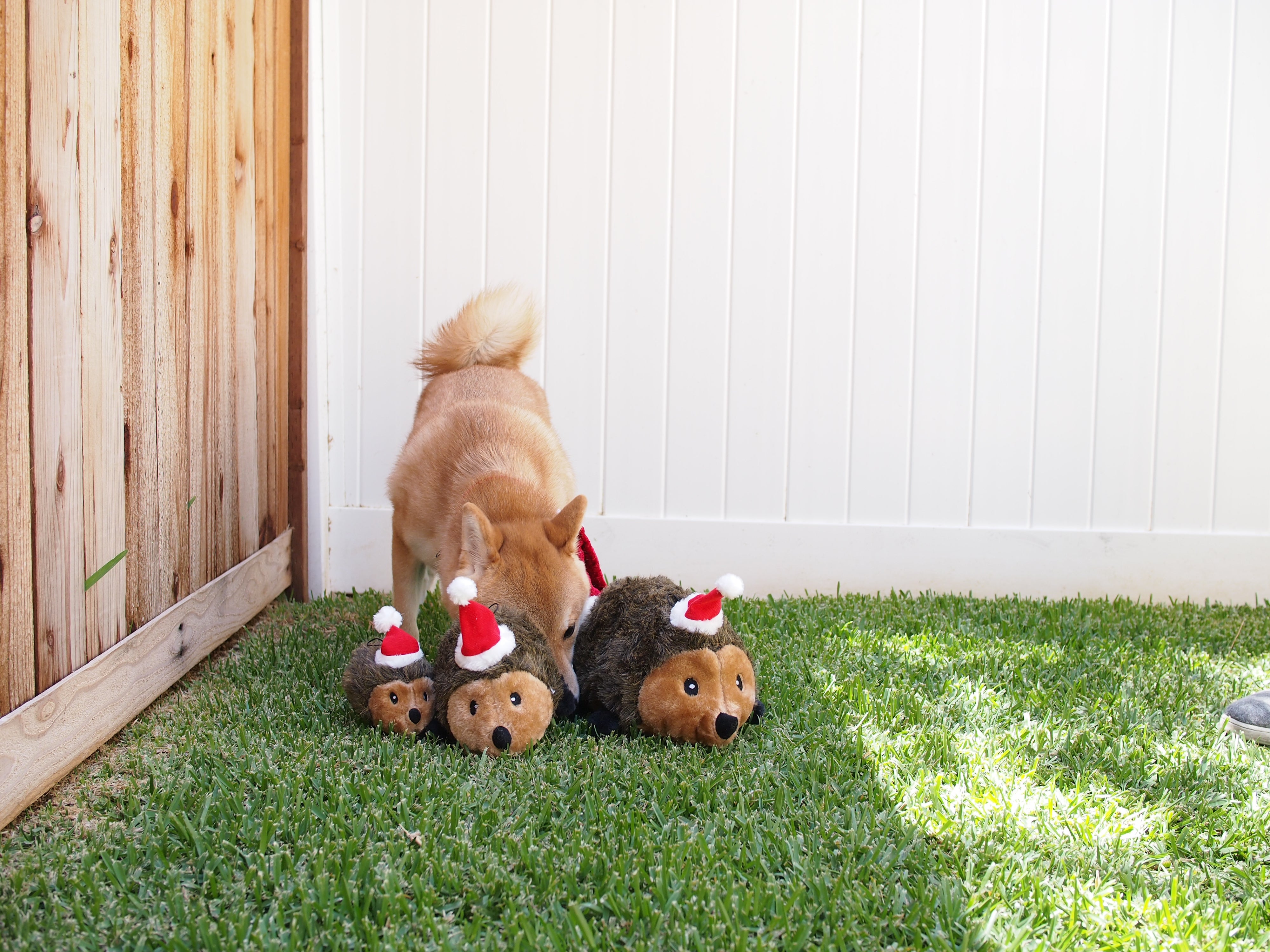 ZippyPaws Holiday Hedgehog Plush Dog Toy Small