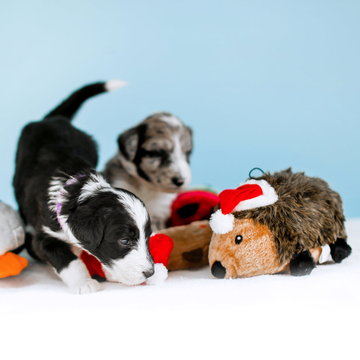 ZippyPaws Holiday Hedgehog Plush Dog Toy Large