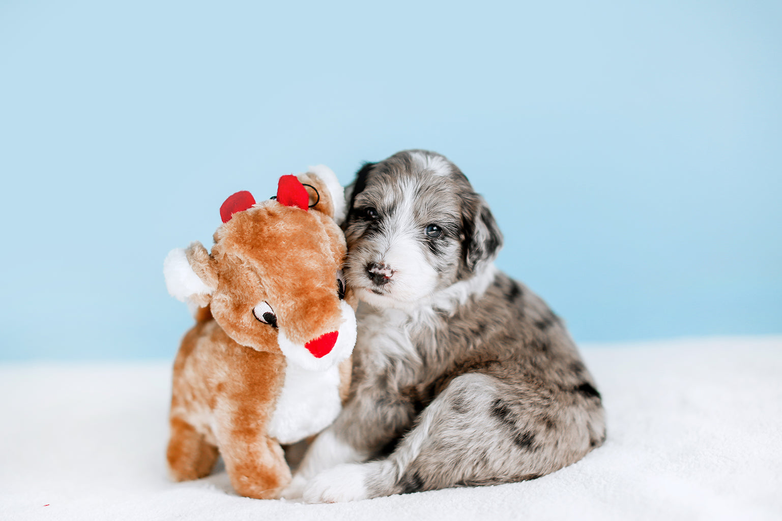 ZippyPaws Holiday Deluxe Reindeer Plush Dog Toy