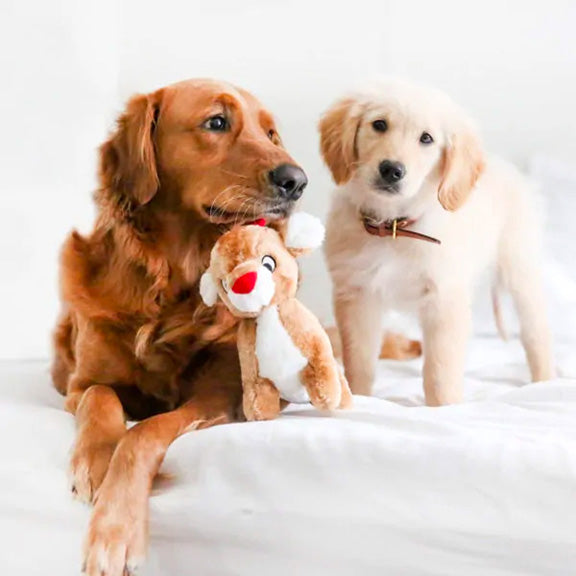 ZippyPaws Holiday Deluxe Reindeer Plush Dog Toy