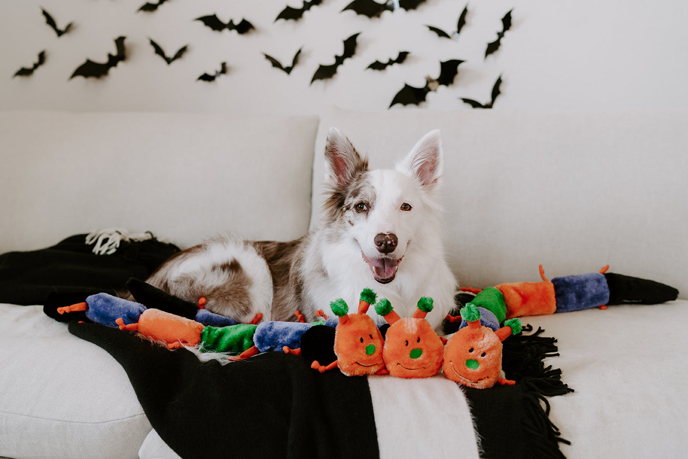 ZippyPaws Halloween Caterpillar - Deluxe