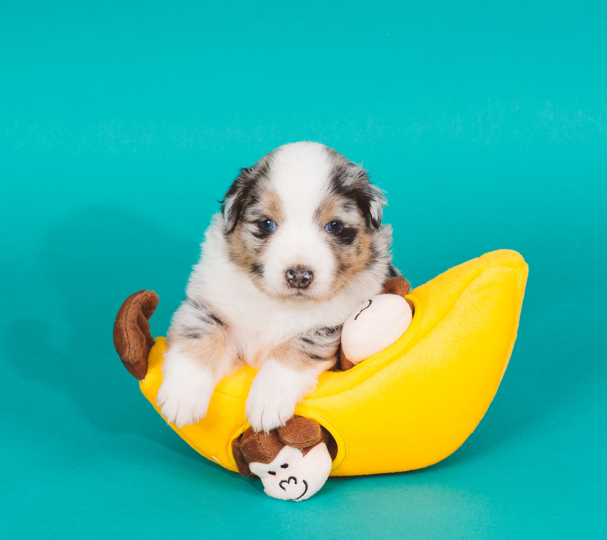 ZippyPaws Burrow Monkey 'n Banana