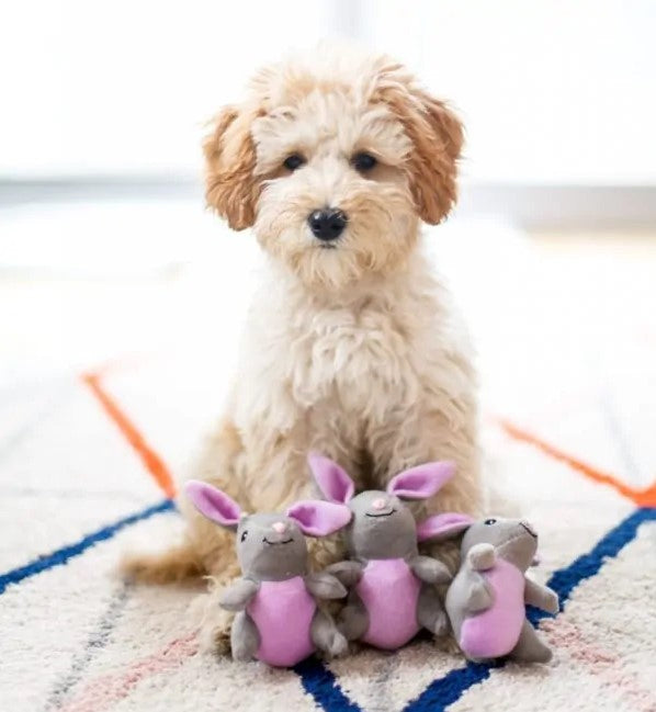 ZippyPaws Miniz 3 Pack Bunnies