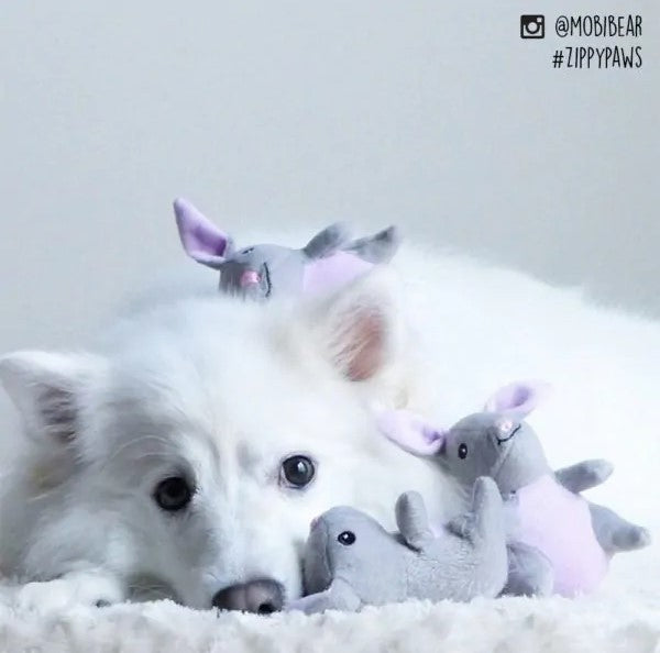 ZippyPaws Miniz 3 Pack Bunnies