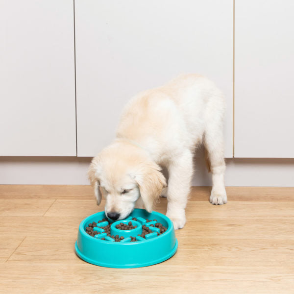 ZippyPaws Happy Bowls -Donut