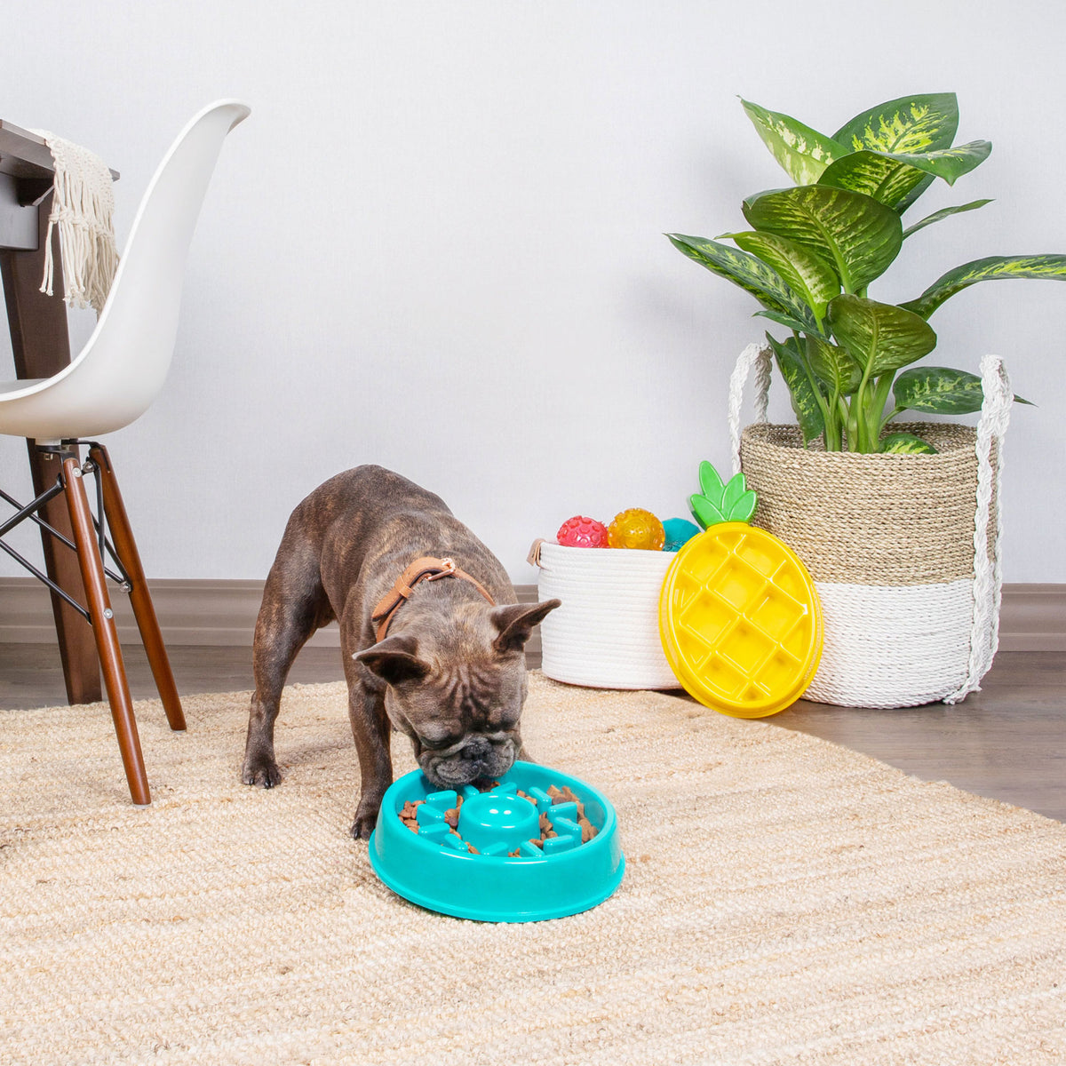 ZippyPaws Happy Bowls -Donut