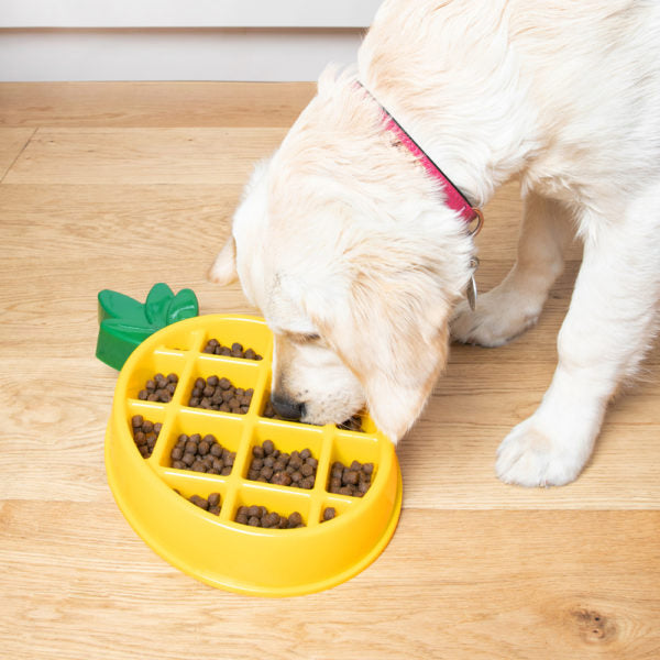 ZippyPaws Happy Bowls -Pineapple