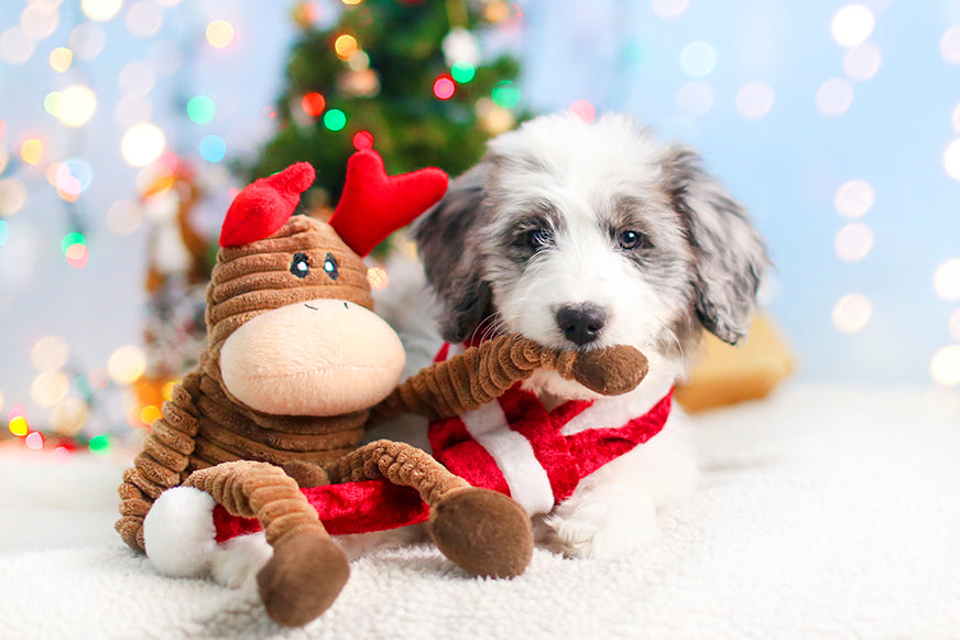 ZippyPaws Holiday Crinkle Reindeer Plush Dog Toy Small