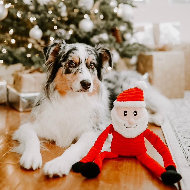 ZippyPaws Holiday Crinkle Santa Plush Dog Toy Large