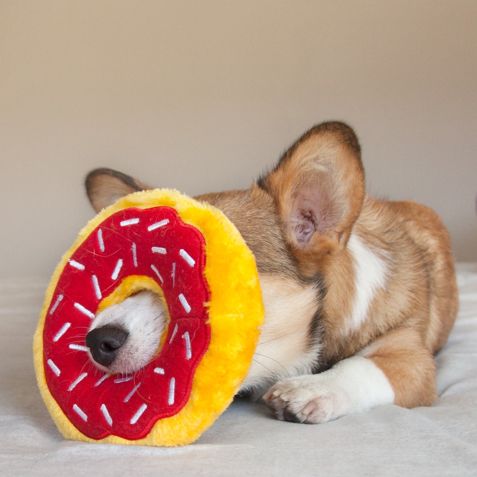 ZippyPaws Donutz Cherry Plush Dog Toy