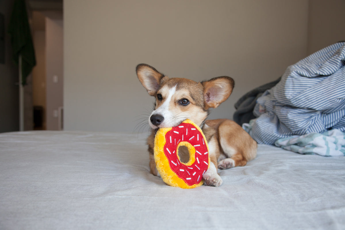 ZippyPaws Donutz Cherry Plush Dog Toy