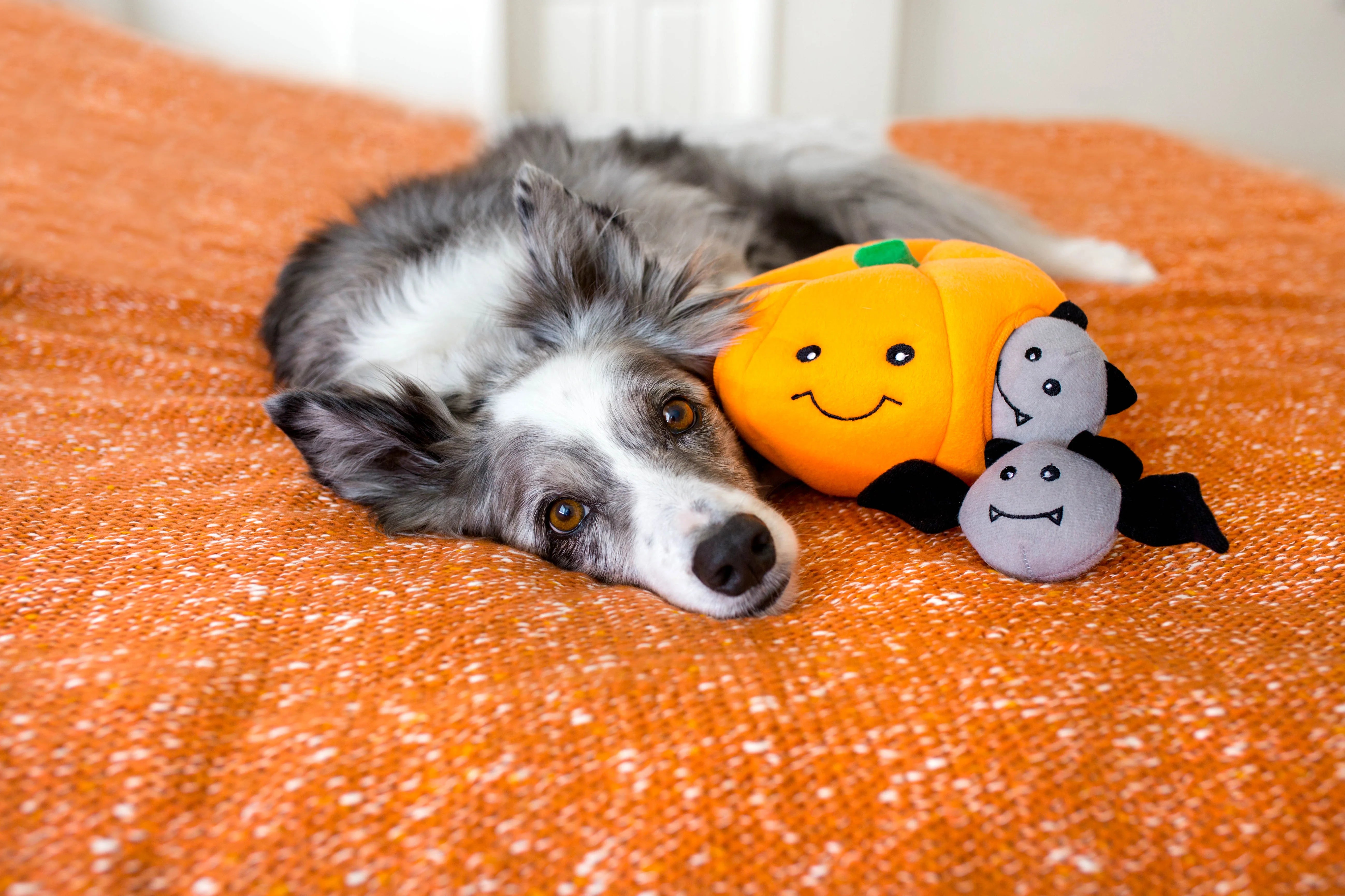 ZippyPaws Zippy Burrow Pumpkin