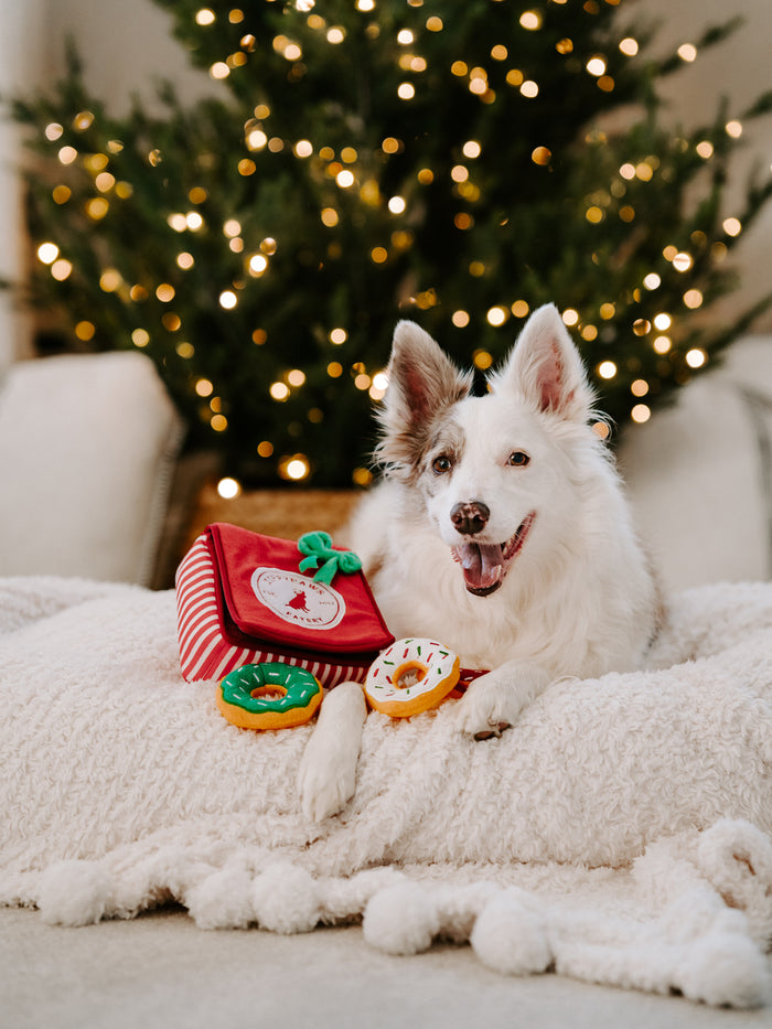 ZippyPaws Holiday Burrow™ Donutz Box Plush Dog Toy