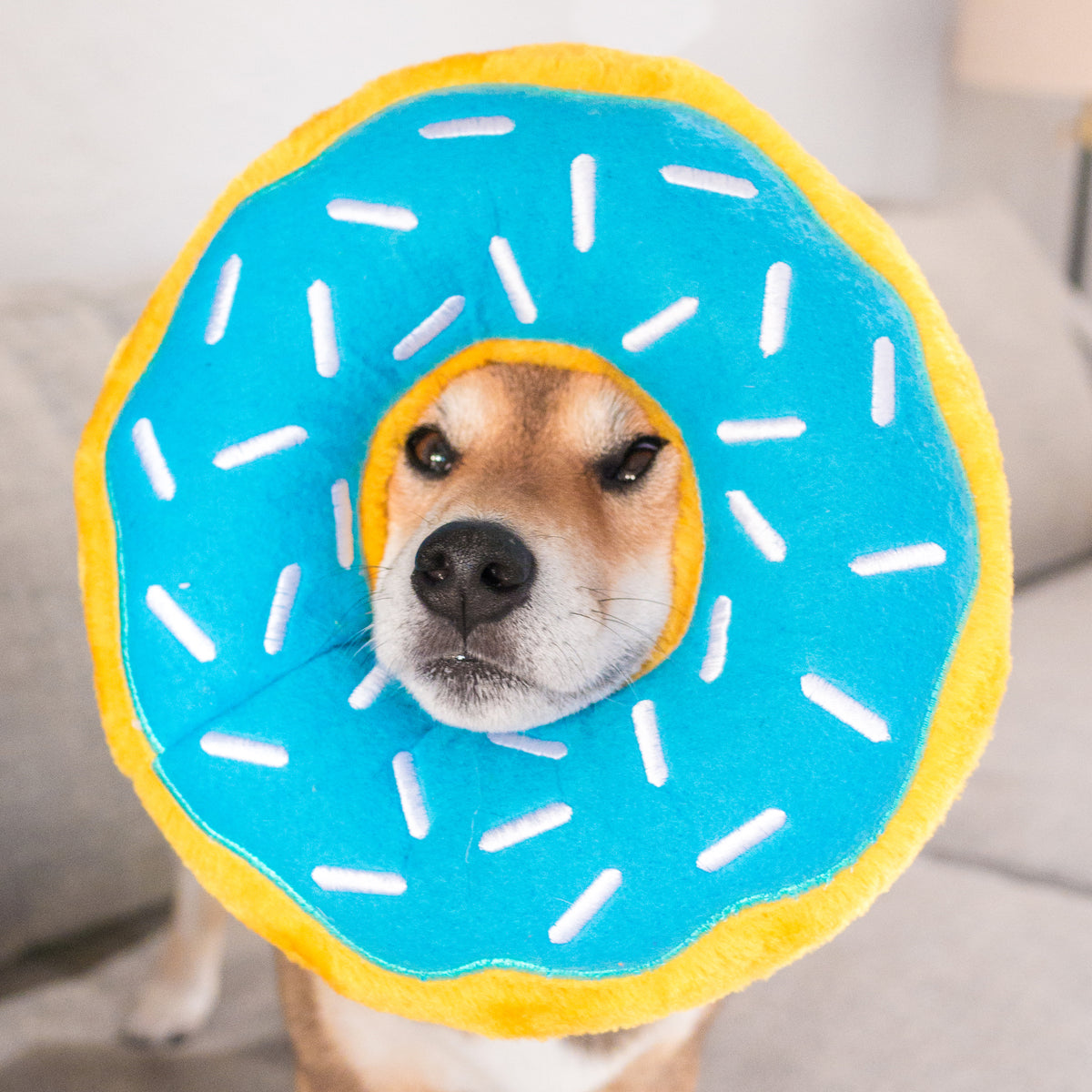 ZippyPaws Jumbo Donutz Blueberry