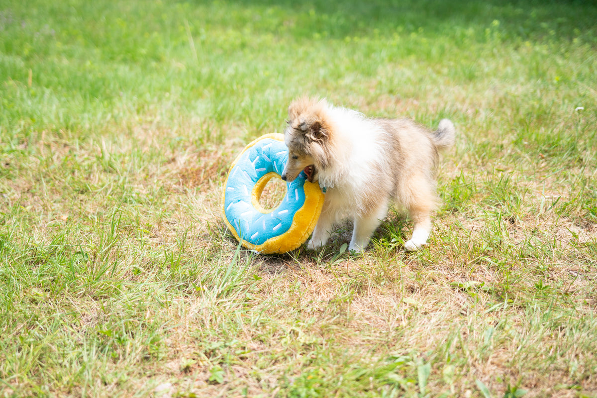 ZippyPaws Jumbo Donutz Blueberry