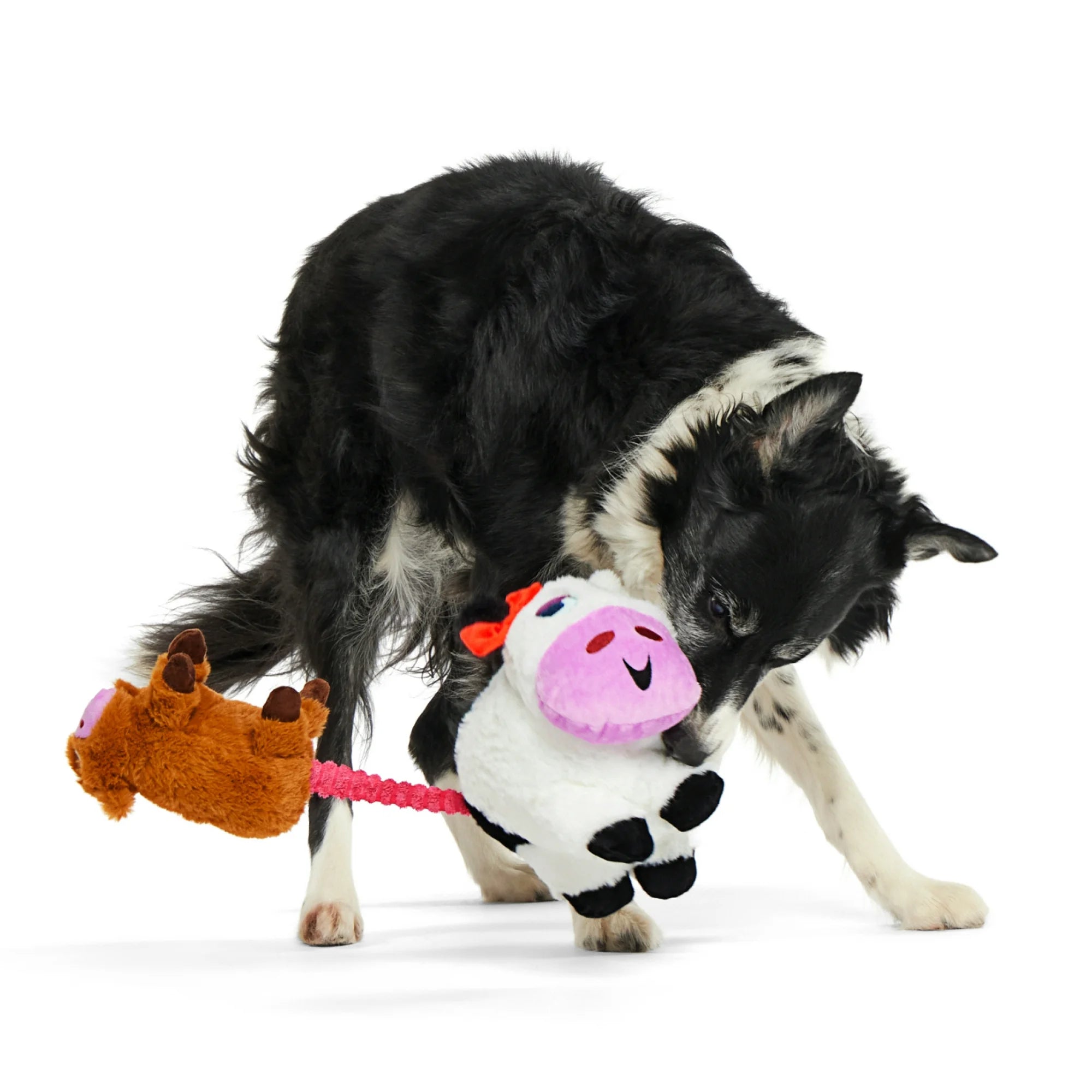 BARK Bertha the Cow Dog Plush Toy